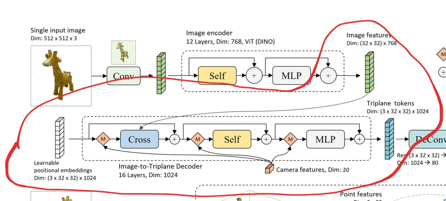 predicting the triplanes from image features