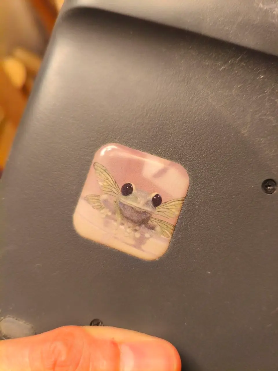 Fairy frog sticker