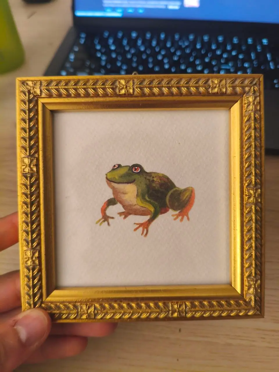 Frog drawing
