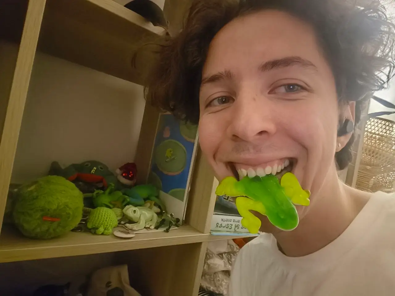Frog gummy (not good)