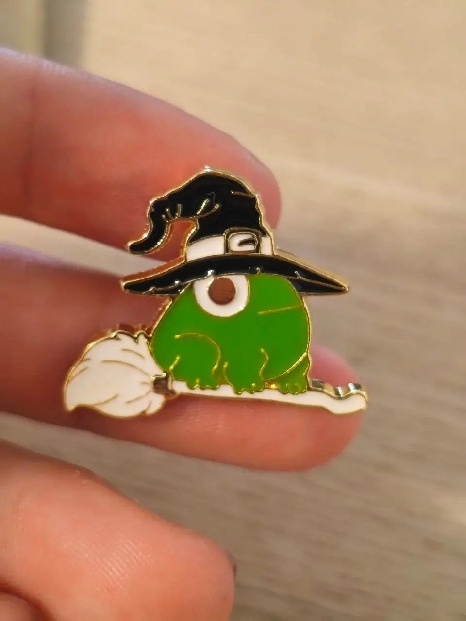 Frog witch pin