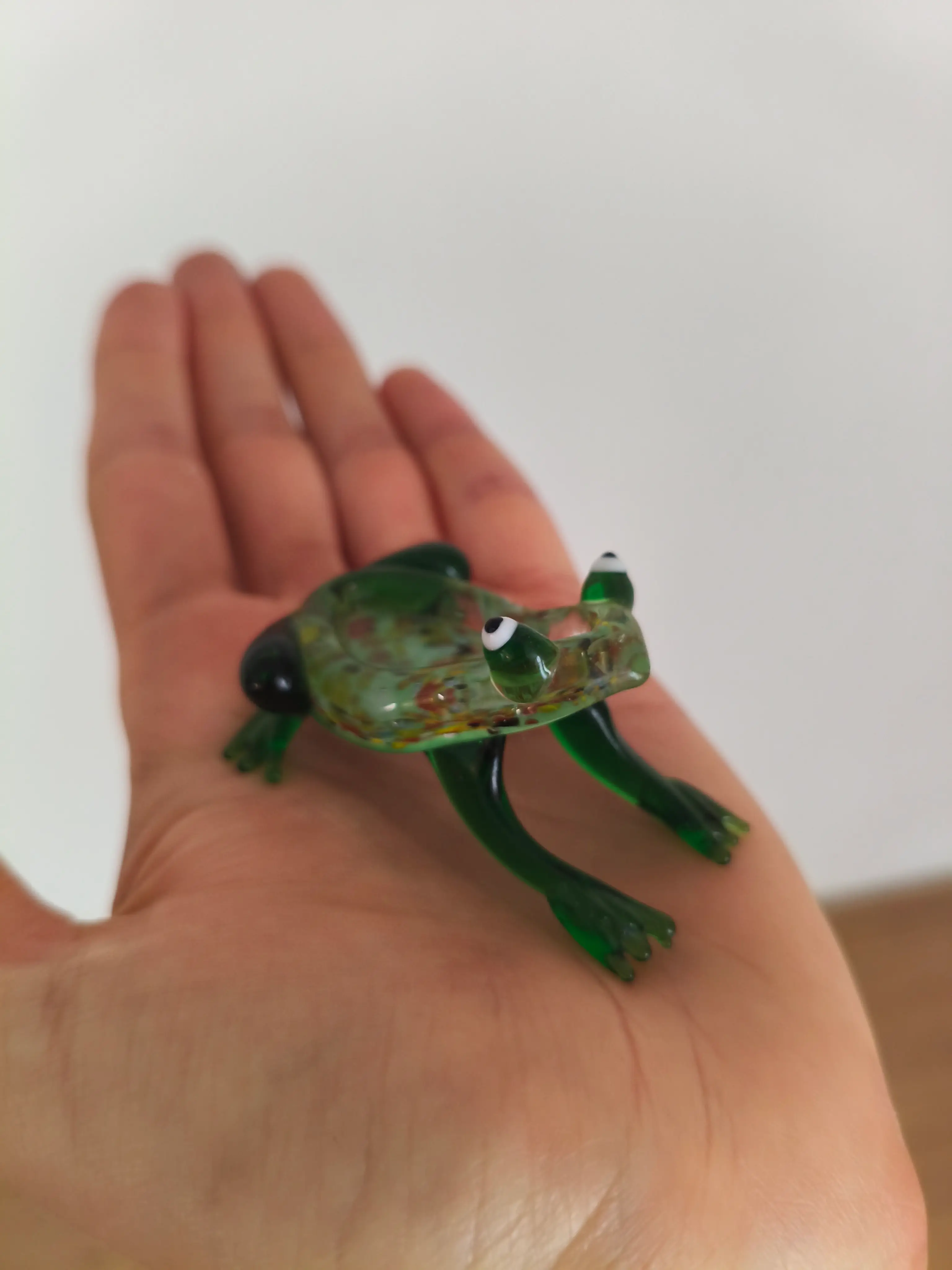 Glass frog