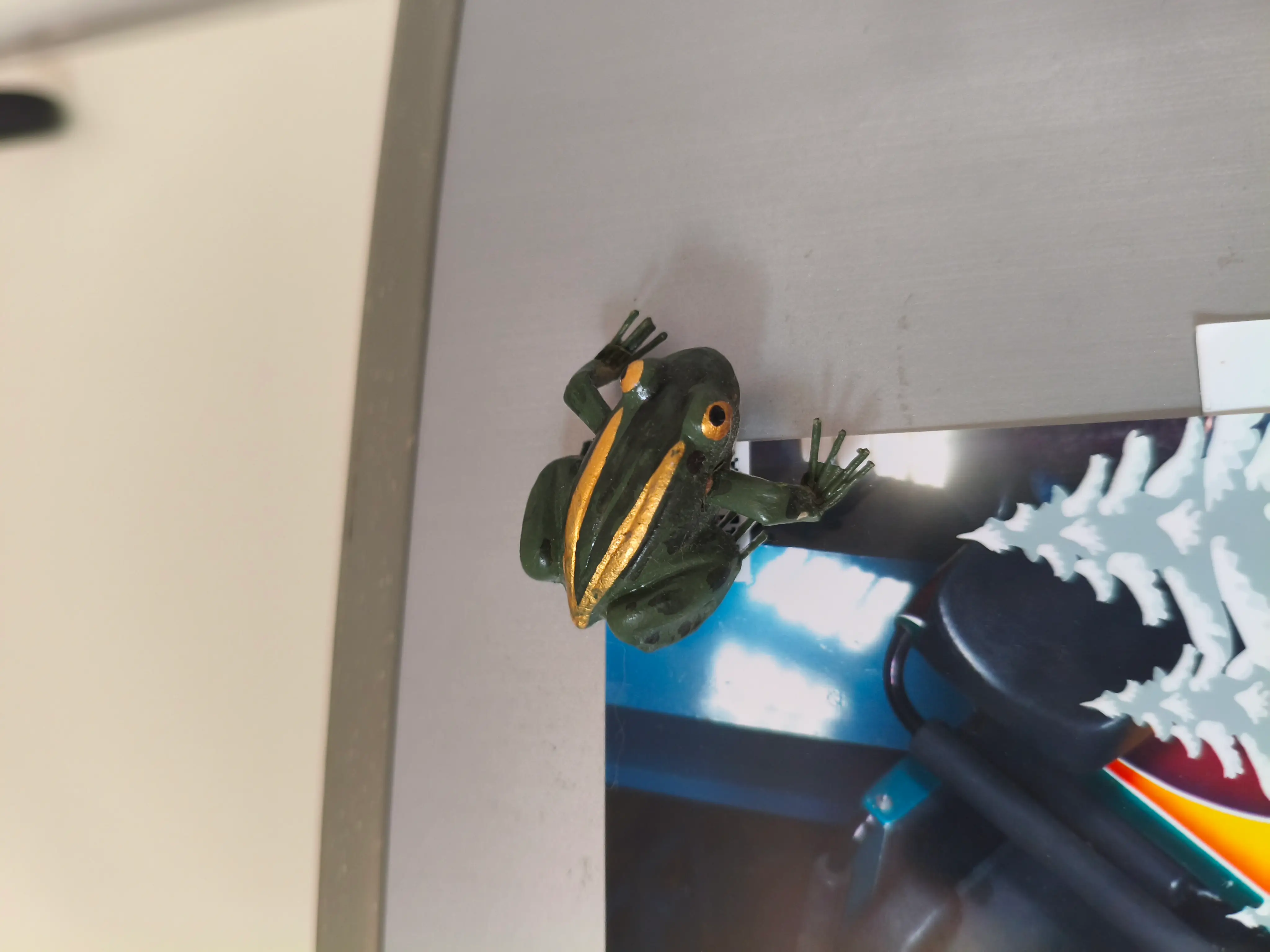 Magnet tiny frog