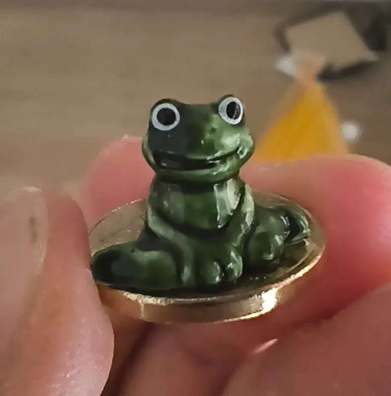 Frog on tiny coin